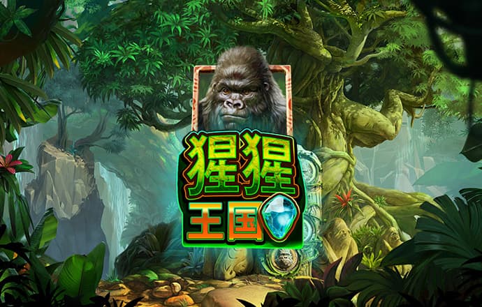 丝瓜视频最新官网入口版